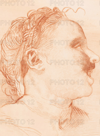 Smiling woman looking diagonally upwards, print, annotation: '1st Etat', printmaker: Herman Boulenger (signed by artist), c. 1880 - in or before 1909, paper, etching, intaglio printmaking technique, height 292 mm x width 249 mm, Date of death of artist unknown. Therefore, the date of acquisition has been used to determine the rights to this object., laughing, A close-up line drawing of a person's head in profile facing right, rendered in reddish-brown ink on a pale background, showing detailed hair pulled back with loose strands, a visible ear with inner folds, a smooth forehead and eyebrow, a partially closed eye with eyelashes, a prominent nose and rounded cheek, a defined upper lip and chin, and a neck with contour lines and shaded crosshatching.