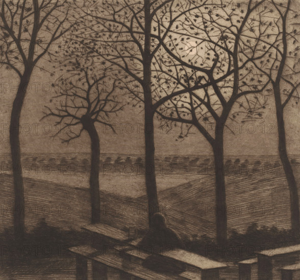 Figure at a picnic table in a moonlit landscape with bare trees, print, annotation: '10th Etat', printmaker: Herman Boulenger (signed by artist), 1893-06, paper, etching, drypoint, intaglio printmaking technique, height 266 mm x width 285 mm, Date of artist's death unknown. Therefore, the date of manufacture and acquisition has been used to determine the rights to this object., moonlight, resting - BB - out of doors, A monochromatic scene showing tall bare trees with dark trunks and a network of thin branches against a textured background, a pale circular shape partially obscured by branches, scattered small dark leaves clinging to twigs, layered horizontal lines suggesting patterned ground or fields, darker shaded areas forming mounds and uneven terrain, and a darker foreground with angular shapes and planks that resemble broken or stacked boards.