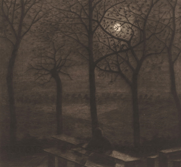 Figure at a picnic table in a moonlit landscape with bare trees, print, printmaker: Herman Boulenger (signed by artist), 1893-06, paper, etching, drypoint, intaglio printmaking technique, height 267 mm x width 288 mm, moonlight, resting, A dim scene of tall dark tree trunks and bare branching limbs filling the frame with a pale circular light behind the branches, a textured ground with sloping areas and horizontal lines, and a dark indistinct shape near the bottom center partially surrounded by scattered planks and angular wood pieces.