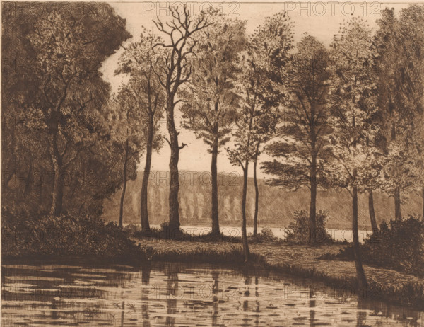 Lake surrounded by trees, print, printmaker: Herman Boulenger (signed by artist), 1893, paper, etching, drypoint, intaglio printmaking technique, height 249 mm x width 334 mm, lake, A sepia-toned etching of a wooded riverside scene showing tall, slender tree trunks rising from a grassy bank, some with leafy canopies and some bare-branched, arranged across the middle ground against a lighter background suggesting distant foliage, with dense, darker clusters of trees framing the left and right edges; the foreground includes a reflective body of water with horizontal and vertical etched marks indicating ripples and reflections of the trunks, and low shrubbery and grasses along the shoreline.