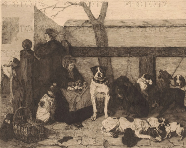 Dog market, print, annotation: 'La marche aux chiens d'apres J Stevens', annotation: '2m état', printmaker: Florimond Buyck, after design by Joseph Stevens, c. 1880 - in or before 1909, Florimond Buyck, Joseph Stevens, printmaker, after design by, paper, Japanese paper (handmade paper), etching, intaglio printmaking technique, height 204 mm x width 251 mm, Date of death of printmaker unknown. Therefore, the acquisition date has been used to determine the rights to this object., dog, market, A sepia-toned etching shows two seated women wearing dark clothing and head coverings surrounded by several dogs of various breeds and coats; one woman sits near a wooden post and looks outward while the other looks down toward a group of puppies in her lap, with a basket on the ground nearby; a low wooden fence with metal rings runs horizontally behind them and a bare tree trunk and branches rise behind the fence; the ground consists of stone slabs with visible cracks and scattered debris and the o...