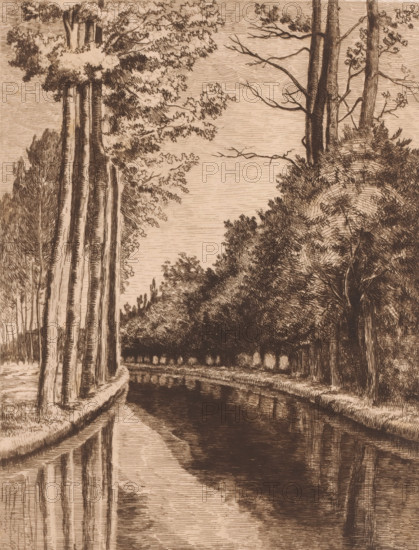 View of the Herentals Canal with a reclining dog below, print, printmaker: Armand Collard, 1848 - 1909, paper, etching, intaglio printmaking technique, etching with plate tone, height 320 mm x width 238 mm, canal, trees, domestic animals, kept in the house, Antwerp, A sepia-toned etching showing a tree-lined canal with tall slender trunks on the left and denser, more textured trees and undergrowth on the right, the water reflecting the trunks and foliage, a curved embankment along the canal, fine cross-hatched sky lines, and a mix of bare and leafy branches extending over the scene.