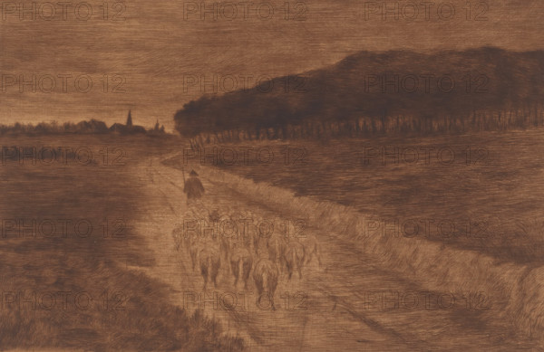 Flock of sheep with shepherd on a heath road, print, annotation: '2eme etat, deux epreuves', printmaker: Pol Craps (signed by artist), 1896, paper, etching, drypoint, intaglio printmaking technique, etching and drypoint with plate tone, printed in brown, height 236 mm x width 329 mm, herd, flock, A wide landscape drawn in brown tones shows a dirt path winding from the foreground toward the horizon, flanked by grassy fields and a dense line of trees on the right, with a small cluster of buildings and a pointed steeple visible in the distance on the left; a lone figure wearing a cloak walks along the path ahead of a group of smaller figures or animals that fill the road behind, and the sky above is filled with fine, horizontal shading.