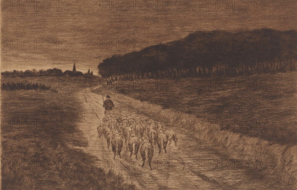 Flock of sheep with shepherd on a heath path, print, annotation: '3eme etat, 3 epreuves de cet etat', printmaker: Pol Craps (signed by artist), 1896, paper, etching, drypoint, intaglio printmaking technique, height 236 mm x width 329 mm, herd, flock, A sepia-toned landscape showing a dirt path leading toward a distant village with clustered buildings and a pointed steeple, a shepherd wearing a cloak and triangular hat walking ahead of a flock of sheep that fill the path with their rounded backs and tails, low-lying grassy fields flanking the road, a dark dense stand of trees forming a horizontal mass to the right, a horizon band of low vegetation and structures on the left, and a sky rendered with horizontal hatch-like strokes.