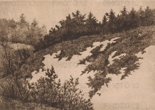 View of a sand quarry near Uccle, Vue d'apres nature a Uccle, print, annotation: '1er etat, deuz epreuves de cet etat', printmaker: Pol Craps (signed by artist), 1897, Pol Craps, printmaker, paper, etching, drypoint, intaglio printmaking technique, height 237 mm x width 329 mm, cultivated land, Uccle, A sepia-toned landscape drawing showing a sloping hillside covered in dense, fine-line foliage and grasses, with clusters of darker trees along the ridge and lighter, more delicate shrubs toward the background; the foreground features detailed tufts of grass and leafy plants, while irregular pale patches break the vegetation across the slope, and the sky above is left mostly empty.