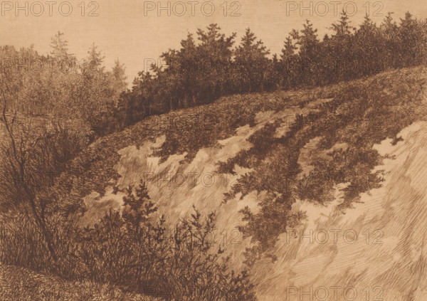 View of a sand quarry near Uccle, Uccle, print, annotation: '2eme etat, trois epreuves de cet etat', printmaker: Pol Craps (signed by artist), 1897, paper, etching, drypoint, intaglio printmaking technique, height 237 mm x width 329 mm, landscapes in the temperate zone, An ink drawing of a hillside covered in dense vegetation with textured grasses and shrubs in the foreground and a line of trees along the ridge, rendered in fine crosshatched strokes on a warm toned background.