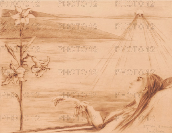 Dying young woman with a lily, print, annotation: '2ième état - 2 épreuves', printmaker: Louise Danse (signed by artist), 1877 - 1909, paper, etching, drypoint, print in brown, intaglio printmaking technique, height 198 mm x width 259 mm, death's head, skull (symbol of Death), flowers: lily, death of a young person, A sepia-toned drawing shows a reclining woman in profile at the right edge, her long hair flowing back and her gaze directed upward; her outstretched arm and delicate hand reach toward the left. A tall stem with several large flowers and elongated leaves rises from the lower left toward the upper left. Horizontal bands and shaded planes suggest a distant landscape with a low horizon; ray-like lines emanate from a faint circular shape near the horizon toward the upper right. The image is rendered with fine linear shading and soft contours on a warm, textured background.