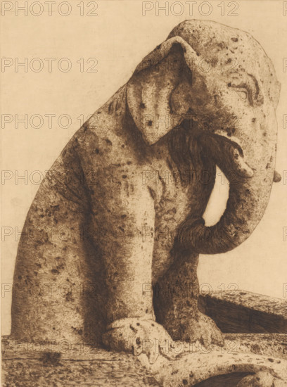 Gargoyle of Notre-Dame in Paris in the shape of an elephant, print, inscription: 'De Notre Dame de Paris, 3em etat', printmaker: Marie Danse (signed by artist), 1877 - 1909, paper, etching, intaglio printmaking technique, etching with plate tone, height 327 mm x width 240 mm, piece of sculpture, reproduction of a piece of sculpture, trunked animals: elephant, Paris, Notre-Dame (Paris), A close-up sepia-toned drawing of an elephant figure showing its upper body and head in profile, with a textured skin pattern of spots and fine lines, a curled trunk held near its face, a visible ear with etched shading, and a large front foot resting on a flat surface.