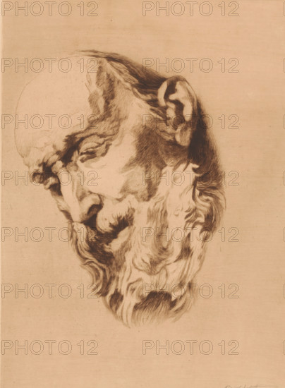 Head of a bearded old man looking down, print, annotation: '1er état, deux epreuves', printmaker: Auguste Danse (signed by artist), after design by Jacques Jordaens, 1895, paper, etching, drypoint, intaglio printmaking technique, etching and drypoint with plate tone, proof, height 364 mm x width 270 mm, old man, A monochrome sketch of an elderly man's head viewed in profile with his face turned downward, showing a high forehead, a prominent nose, closed eyes, and a long flowing beard and mustache rendered with fine, textured lines, with darker shading around the ear and hairline and lighter, more delicate strokes across the scalp, all set against a plain, unadorned background.
