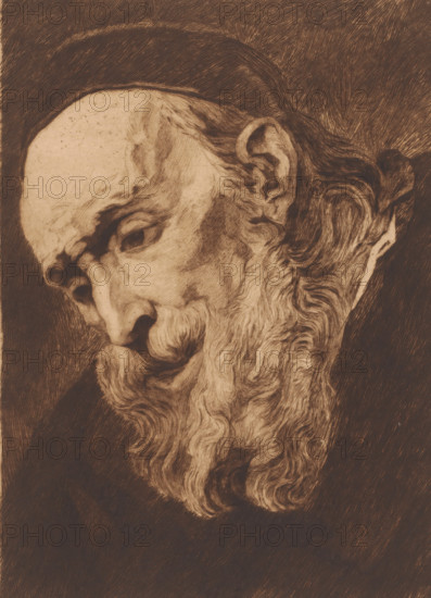 Head of a bearded old man looking down, print, annotation: '2eme etat, epreuve unique', printmaker: Auguste Danse (signed by artist), after design by Jacques Jordaens, 1897, paper, etching, drypoint, intaglio printmaking technique, height 364 mm x width 270 mm, old man, A close-up sepia-toned drawing of an elderly man's head turned downward, showing a high forehead, deep-set eyes with heavy brows, a long hooked nose, pronounced cheekbones, a full flowing beard with wavy texture, and detailed ear and hairline, all rendered with fine, directional hatch marks against a dark shaded background.