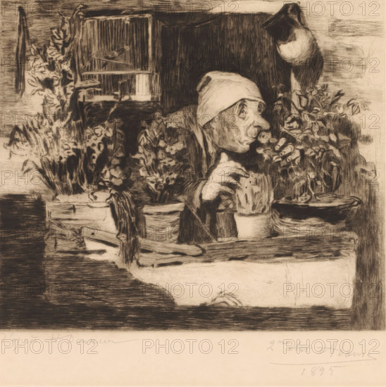 Old man with nightcap smells the flowers on his windowsill, print, annotation: '2me etat, deux epreuves de c'est etat', printmaker: Auguste Danse (signed by artist), after design by Honoré Daumier, 1895, Auguste Danse, Honoré Daumier, printmaker, after design by, paper, etching, drypoint, intaglio printmaking technique, height 255 mm x width 276 mm, old man, smell, smelling (one of the five senses), A sepia-toned etching shows a woman wearing a headscarf leaning out of a window or opening, her face in profile with a prominent nose and pursed lips, one hand raised near her mouth and the other holding a potted plant. The foreground includes several potted plants and flowers arranged on a ledge and in containers, with detailed leaves and petals. Behind the woman is a dark interior space and a curtain or drape, and to the left a shelf or cabinet is visible with a small bird perched on a narrow bar. The image is rendered in fine, crosshatched lines and rich shadows, with textured shading ac...