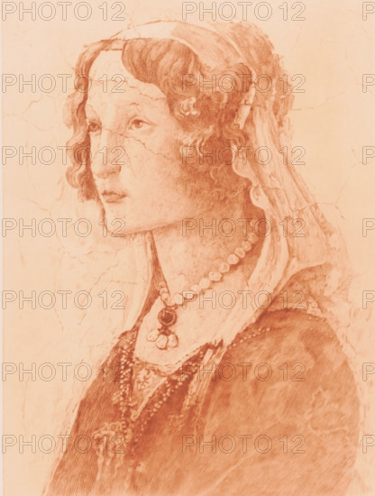 Detail from a fresco by Botticelli, face of a young woman, print, annotation: 'dernier etat', printmaker: Auguste Danse (signed by artist), after design by Sandro Botticelli, 1897, paper, chine collé, etching, drypoint, intaglio printmaking technique, etching and drypoint with plate tone, printed in red-brown, height 362 mm x width 270 mm, 10-20 years, A sepia-toned drawing of a woman in profile facing left, showing her head and upper torso, with wavy hair partially covered by a veil and a headdress, visible facial features including eyes, nose, and closed lips, and delicate shading suggesting contours and cracks across the surface; she wears a beaded necklace with a pendant and layered garments with textured patterns and additional strands of beads, all rendered with fine hatching and soft tonal variations.