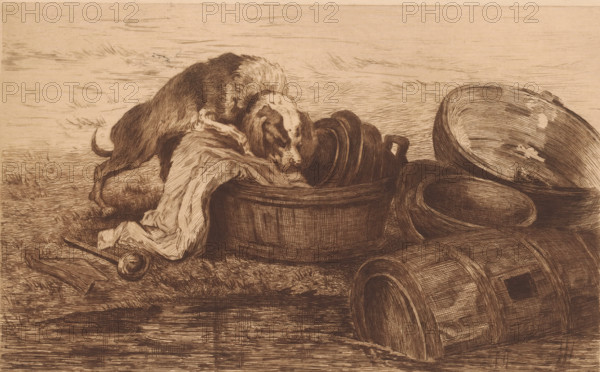 Dog in a washing up bowl at the edge of the water, print, annotation: 'd'apres Rubens, 1er état', printmaker: Auguste Danse (signed by artist), after design by Peter Paul Rubens, 1889, Auguste Danse, Peter Paul Rubens, printmaker, after design by, paper, etching, drypoint, intaglio printmaking technique, height 236 mm x width 317 mm, dog, A monochrome etching showing a dog with a spotted face leaning over a wooden tub filled with cloth, surrounded by several large overturned wooden buckets and bowls, a ladle and a broken handle lying on the ground, all set on a textured surface with linear shading suggesting grass and sky.