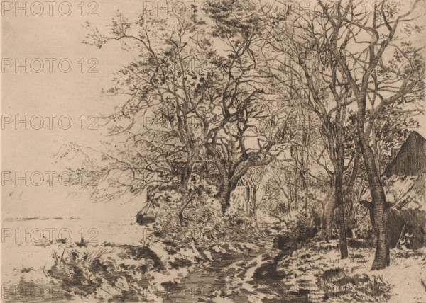Snowy landscape with a barn at the edge of the forest, print, annotation: '1er etat', printmaker: Auguste Danse (signed by artist), 1883, paper, etching, drypoint, intaglio printmaking technique, height 241 mm x width 311 mm, farm or solitary house in landscape, A detailed ink drawing of a riverside with many leafed and bare-branched trees clustered along the bank, their trunks and branches rendered with fine cross-hatching; a steep rocky shoreline descends to a calm water surface with reflections and subtle ripples; vegetation and undergrowth appear among the rocks and at the water's edge; in the background a sloped, roofed structure is partially visible behind the trees; the overall image has a textured, monochrome appearance on a light paper tone.
