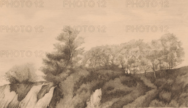 Landscape near Yvoir on the banks of the Meuse, print, annotation: '3 état', printmaker: Auguste Danse (signed by artist), 1885, paper, etching, intaglio printmaking technique, height 219 mm x width 347 mm, A wide pencil landscape showing a rocky foreground with steep, striated cliff faces and textured ground, a cluster of trees with detailed foliage and slender trunks rising from the rocky area, more trees and shrubbery extending along a ridge toward the right, and a broad, lightly shaded sky above.