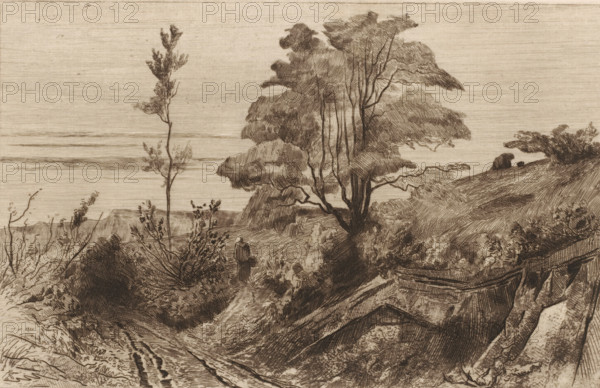 Souvenir de Moulins-Warnaut (original title), Country road near Warnant, print, Country road in a hilly landscape with trees. In the middle walks a figure with a basket., printmaker: Carel Nicolaas Storm van 's-Gravesande, c. 1872, Carel Nicolaas Storm van 's-Gravesande, paper, etching, intaglio printmaking technique, aquatint, height 170 mm x width 266 mm, road, path, low hill country (landscape with figures, staffage), Warnant, A monochrome etching of a coastal landscape showing a narrow dirt path winding between shrubs and grassy slopes toward the water, with a solitary figure standing on the path facing away and surrounded by foliage. Tall, slender trees with leafy canopies rise on a hillside to the right of the path, their trunks and branches drawn with fine crosshatching. The shore and distant horizon are visible in the background as flat, horizontal bands. In the foreground to the right, overlapping wooden planks or boat hulls lie among the grass and brush, and bushes and low pl...