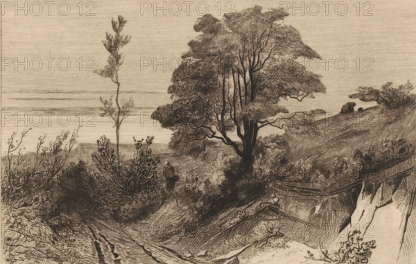 Country road near Warnant, Souvenir de Moulins-Warnaut (original title), print, Country road in a hilly landscape with trees. A figure with a basket walks in the middle., number: '299', printmaker: Carel Nicolaas Storm van 's-Gravesande, c. 1872, Carel Nicolaas Storm van 's-Gravesande, paper, etching, intaglio printmaking technique, height 171 mm x width 268 mm, road, path, low hill country (landscape with figures, staffage), Warnant, A sepia-toned etched landscape showing a coastal hillside with a winding dirt path descending between shrubs and grasses, a tall slender tree standing near the left center and a larger cluster of trees with detailed foliage and thin trunks dominating the right center, a solitary cloaked figure walking along the path holding an object, low horizontal bands suggesting a distant body of water on the horizon, rough textured slopes and exposed rock faces on the right, scattered bushes and undergrowth in the foreground, and varied fine linework creating shading...