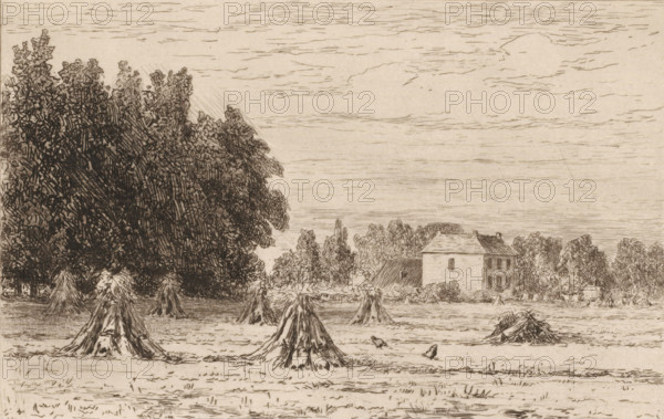 Landscape with sheaves of corn, Le chateau de Noord-Denringen (this Count's House) (original title), Souvenir du Hâvre (original series title), print, In the background stands a horse-drawn carriage next to a house., title: 'chateau de ...deurningen', printmaker: Carel Nicolaas Storm van 's-Gravesande, 1851 - 1910, Carel Nicolaas Storm van 's-Gravesande, printmaker, paper, etching, intaglio printmaking technique, height 128 mm x width 190 mm, hay-stack, cultivated land, Noord Deurningen, A wide landscape drawn in sepia tones shows a field with conical sheaves of harvested stalks scattered across the foreground and midground, a few birds on the ground near one sheaf, a dense stand of large trees occupying the left side and middle background with detailed foliage, and a two-story house with a pitched roof and shuttered windows set among smaller trees and shrubs toward the right background; the sky above is lightly sketched with horizontal cloud lines.