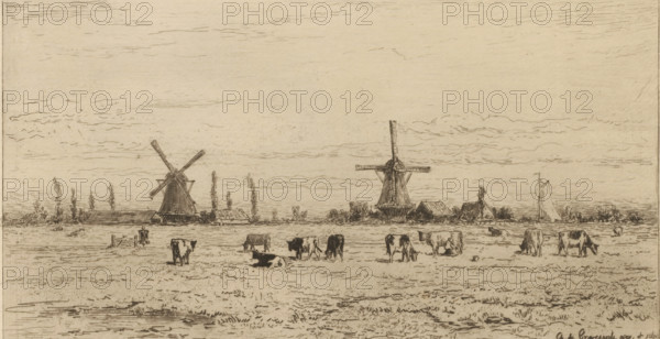 Polder near Weesp, Un polder près de Weesp (original title), print, View of a meadow with cows. Two windmills on the horizon., printmaker: Carel Nicolaas Storm van 's-Gravesande, after design by Carel Nicolaas Storm van 's-Gravesande, c. 1873, Carel Nicolaas Storm van 's-Gravesande, printmaker, paper, etching, intaglio printmaking technique, height 126 mm x width 230 mm, polder, reclaimed land, windmill in landscape, cow, Weesp, A wide pastoral scene rendered in fine linework shows a flat field with grazing cows scattered across the foreground and middle ground, some standing and some lying down, with small tufts of grass and shallow water at the near edge. Along the horizon there are low buildings and clusters of trees, and two prominent windmills with tall sails rising above the rooftops. To the right of the windmills a sailboat with a tall mast is visible near the shoreline. The sky occupies much of the upper area, filled with light, horizontal, sketchy cloud strokes.