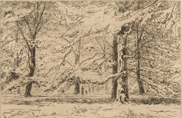 In the park of Groeneveld Castle (original title), Trees on the Groeneveld Castle estate, The Netherlands (original series title), print, In the middle stands a figure with a child next to a tree., printmaker: Carel Nicolaas Storm van 's-Gravesande, c. 1877, Carel Nicolaas Storm van 's-Gravesande, paper, etching, intaglio printmaking technique, height 150 mm x width 200 mm, forest, wood, Baarn, Groeneveld Castle (Baarn), A monochrome line drawing of a forest scene showing many tall trees with textured bark and spreading branches, leaves rendered with short, hatched strokes, and layered foliage filling the upper area. Tree trunks of varying thickness stand on a flat ground with grass and low vegetation indicated by short lines and tufts. Branches extend horizontally and diagonally across the composition, some overlapping others, and fine vertical and diagonal hatch marks create shadowed areas on trunks and foliage. Near the center, two small human silhouettes stand among the trees, one ...