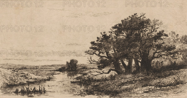 Landscape with oak trees near Wolfheze, Vieux chênes à Wolfhezen (original title), Sketches of Holland (original series title), print, printmaker: Carel Nicolaas Storm van 's-Gravesande, c. 1880, Carel Nicolaas Storm van 's-Gravesande, paper, etching, intaglio printmaking technique, height 170 mm x width 280 mm, landscapes in the temperate zone, trees: oak, Wolfheze, A sepia-toned landscape etching showing a calm river or stream flowing from the foreground toward the middle distance, with reeds and low vegetation along its banks. On the right bank a cluster of large, leafy trees with dark, heavily hatched trunks and branches rises above the water, their foliage rendered with dense cross-hatching and textured lines. The left bank is lower and more open, with low grasses and distant fields stretching toward a flat horizon. Fine, short strokes suggest clouds and subtle sky texture above the scene, and reflected lines in the water mirror the vegetation and reeds along the edges. The overal...