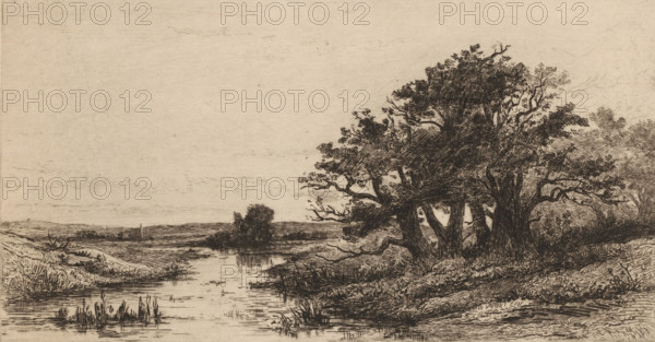 Landscape with oak trees near Wolfheze, Vieux chênes à Wolfhezen (original title), Sketches of Holland (original series title), print, printmaker: Carel Nicolaas Storm van 's-Gravesande, c. 1880, Carel Nicolaas Storm van 's-Gravesande, paper, etching, drypoint, intaglio printmaking technique, height 169 mm x width 281 mm, landscapes in the temperate zone, trees: oak, Wolfheze, A sepia-toned etching of a riverside landscape showing a calm stretch of water with reflected ripples, marshy reeds at the water's edge, and gently sloping grassy banks. On the right bank a dense cluster of mature trees with textured trunks and sprawling branches extends over the shore, their foliage rendered with fine crosshatching. In the middle distance a solitary tree stands on the far bank, and a small sailboat is visible near the horizon. The sky occupies the upper portion of the image with subtle horizontal scratch marks suggesting light cloud or distant atmosphere.