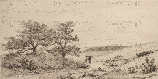 The Heather at Worth-Rheden (original title), Heathland landscape near Worth-Rheden, print, In the middle, two figures walk along a path on the heath., printmaker: Carel Nicolaas Storm van 's-Gravesande, c. 1880, Carel Nicolaas Storm van 's-Gravesande, paper, etching, intaglio printmaking technique, height 148 mm x width 256 mm, meadow, pasture (landscape with figures, staffage), Worth-Rheden, A monochrome sketch of a windswept landscape showing two trees with spreading, textured branches and dense foliage on the left, low shrubs and grasses across the sandy ground, and a gently rolling dune area extending to the right. A small figure stands on a path near the center, accompanied by a smaller figure, both rendered with simple lines. The sky is lightly hatched with thin, horizontal strokes, and distant vegetation forms a darker horizontal band along the horizon. The foreground shows detailed cross-hatching and short, directional lines indicating texture in the soil and plants.