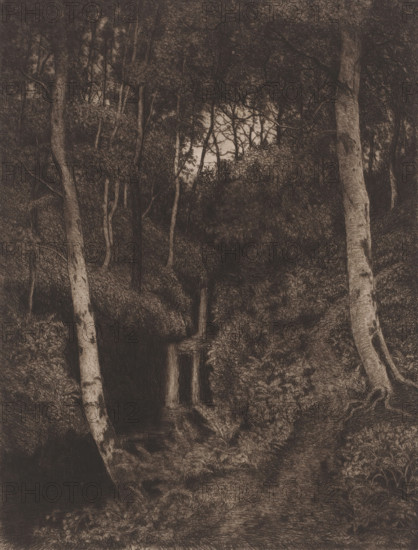 Birch forest with waterfall, print, printmaker: Alfred Elsen, 1860 - 1910, paper, chine collé, etching, intaglio printmaking technique, etching with plate tone on chine collé, height 370 mm x width 297 mm, landscapes in the temperate zone, trees: birch, waterfall, A densely shaded forest scene with tall, slender trees rising from a dark, textured undergrowth, two prominent pale tree trunks framing the foreground on either side, a narrow path leading inward toward a small, rectangular waterfall cascading into a shadowed pool, thick foliage and tangled branches filling the mid and background, and a lighter patch of sky visible through the canopy near the center.