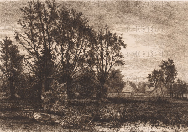 Landscape with four willows and a brook, print, inscription: '3e Etat', printmaker: Alfred Elsen, 1881, paper, etching, intaglio printmaking technique, etching with plate tone, height 234 mm x width 330 mm, farm or solitary house in landscape, brook, trees: willow, A sepia-toned landscape drawing showing tall, slender trees with intricate branches and foliage in the foreground and middle ground, a reflective waterway bordered by reeds and grasses at the bottom, a cluster of thatched-roof huts partially visible among trees toward the right, dense undergrowth and shrubs beneath the tree canopies, and a textured sky with horizontal, wavy linework filling the upper area.