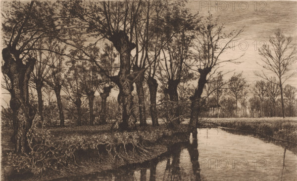 Willows along the bank of a brook, print, mark: 'Antwerpsche Etsers 1880', printmaker: Alfred Elsen, 1885, paper, etching, intaglio printmaking technique, etching with plate tone, height 239 mm x width 360 mm, landscapes, brook, trees: willow, A sepia-toned scene of a wooded riverside with numerous leafed and partially bare trees of varying trunk shapes lining a grassy bank, their branches extending across the sky and reflecting in the calm water below, with exposed roots and undergrowth at the foreground edge and a distant treeline visible across the river.
