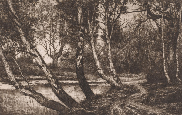 Landscape with birch trees along a bank, print, printmaker: Alfred Elsen, 1860 - 1910, paper, chine collé, etching, intaglio printmaking technique, etching with plate tone on chine collé, height 186 mm x width 279 mm, lake, forest path or lane, trees: birch, A detailed monochrome drawing of a wooded scene showing slender, leaning tree trunks with textured bark rising from the ground beside a calm body of water, reflected surface ripples near the base of the trunks, dense clusters of leafy branches and undergrowth filling the background, a narrow dirt path winding along the right side beneath the trees, layered foliage creating areas of light and shadow, and a horizon of distant trees visible through gaps in the canopy.