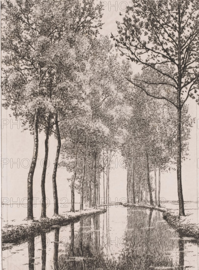 Landscape with river, print, inscription: '1e Etat', printmaker: Alfred Elsen (signed by artist), 1860 - 1910, paper, chine collé, etching, etching on chine collé, height 270 mm x width 198 mm, river, A monochrome drawing of a tree-lined canal with tall, slender trunks rising from grassy banks and branches forming a dense canopy, the water reflecting the trees and banks in vertical rippled lines, narrow paths along each side of the canal edged with low vegetation, clusters of fine foliage rendered with short, textured strokes, and distant trees fading into the background beneath an open, light sky.