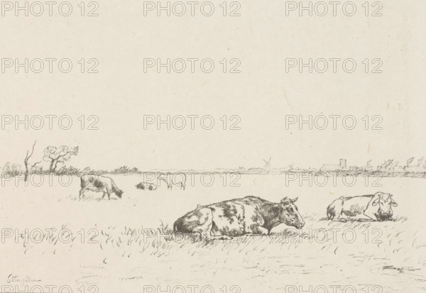 Vaches au paturage (original title on object), Meadow with cows, print, printmaker: Alphonse Stengelin (signed by artist), 1876 - 1910, paper, chine collé, lithography, height 319 mm x width 449 mmm, cow, A wide, light-toned sketch of a flat grassy field with several cows, some lying down in the foreground and others standing or grazing farther back, rendered in fine pencil lines; a low horizon line with sparse vegetation and a few small trees and shrubs stretches across the middle distance, and a distant windmill and a small blocky building sit near the horizon; the foreground shows detailed grass strokes and shaded contours on the cows, with open space and faint paper texture filling the upper portion of the image.