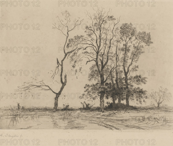 Five trees by a lake, print, Five trees and a low haystack at the edge of the Kagermeer., printmaker: Alphonse Stengelin (signed by artist), 1862 - 1910, paper, etching, intaglio printmaking technique, drypoint, height 195 mm x width 270 mm, landscapes, Kagerplassen, A sepia-toned ink drawing showing a riverside scene with tall, slender trees clustered toward the right and a few isolated, gnarled trunks extending leftward, detailed foliage rendered with fine, looping lines and textured bark strokes; a calm water foreground reflects linear ripples and horizontal marks, while the distant bank is sketched with low vegetation and a small standing figure near the left edge holding a long object; the sky area is mostly empty with faint smudges and stray pencil marks, and the lower margin contains a narrow blank strip with light marks.