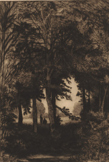 Forest view with two figures, print, printmaker: Jules Marie Armand Goethals (signed by artist), 1854 - 1879, paper, drypoint, etching, intaglio printmaking technique, etching with plate tone, height 300 mm x width 212 mm, standing figure, forest, wood, sitting figure, A dark, heavily shaded scene shows tall trees with dense canopies and textured trunks framing a lighter clearing beyond; silhouettes of two small human figures stand near the open area, one upright and one seated, with layered foliage and undergrowth surrounding them and branches extending across the top and sides of the image, while areas of crosshatched and stippled shading create a textured sky and ground.