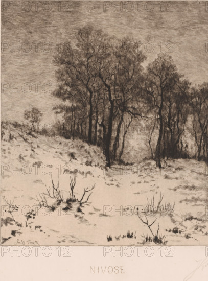 Winter landscape, Nivose, print, printmaker: Jules Guiette (signed by artist), 1862 - 1901, paper, etching, intaglio printmaking technique, height 316 mm x width 237 mm, landscape symbolizing winter (the four seasons of the year), A monochrome etching shows a snowy landscape with a foreground of sparse grasses and low shrubs poking through the snow, their dark stems and tufts rendered with fine, sketchy lines. The middle ground slopes upward to a rough, uneven terrain marked by scattered tufts and small depressions, leading to a stand of tall, leafless trees whose dark trunks and tangled branches form a dense, intricate mass against a softly textured sky. The trees vary in thickness and height, some leaning and interlacing their limbs, creating shadowed areas at their bases, while a solitary smaller tree stands apart on the distant slope. The sky above is filled with closely hatched strokes that give a grainy, overcast appearance, and the entire scene is depicted in delicate contrasts ...