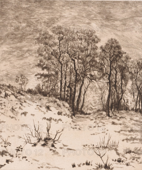 Winter landscape, Nivose, print, annotation: '1', printmaker: Jules Guiette, 1862 - 1901, paper, etching, intaglio printmaking technique, height 316 mm x width 237 mm, landscape symbolizing winter (the four seasons of the year), A monochrome etching of a winter landscape showing leafless trees with intricate branching and textured bark clustered along a gently sloping ground, sparse low grasses and small bare shrubs scattered across a snow-dusted foreground, and a sky filled with fine, horizontal hatch marks suggesting clouded or streaked atmosphere.