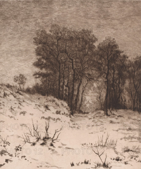 Nivose, Winter landscape, print, printmaker: Jules Guiette (signed by artist), 1862 - 1901, paper, etching, intaglio printmaking technique, height 316 mm x width 237 mm, landscape symbolizing winter (the four seasons of the year), A monochrome landscape drawing showing a sandy foreground with sparse tufts of grass and small leafless shrubs, a gently sloping sand dune on the left, and a dense stand of tall trees with intertwining trunks and leafy canopies occupying the middle and right, darker shading and fine crosshatching creating texture in the foliage and sky above.