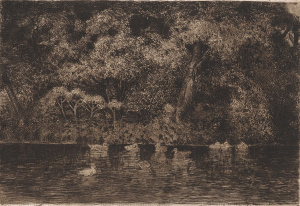 Pond with ducks, print, annotation: 'Epreuve teintée morture (?)', printmaker: Jules Guiette, 1862 - 1901, paper, etching, drypoint, intaglio printmaking technique, height 213 mm x width 314 mm, water birds: duck, garden pond, A monochrome etching depicting a densely foliaged shoreline with large trees and shrubs, their textured leaves and trunks rendered in fine crosshatching, a gently sloping bank leading down to a calm body of water, and a group of waterfowl floating on the surface with reflections visible in the rippled water.