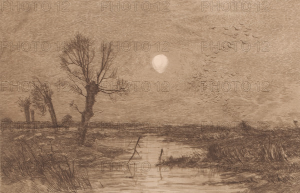 Swamp with four willows, print, annotation: 'Le marais avec les quatre saules, 1er Etat', printmaker: Jules Guiette, 1862 - 1901, paper, etching, intaglio printmaking technique, height 170 mm x width 259 mm, swamp, inland marsh, fens, trees: willow, A sepia-toned landscape sketch showing a flat marsh with a narrow waterway in the foreground reflecting faint lines and broken sticks, flanked by clumps of grasses and reeds. Three pollarded trees with bare, wiry branches stand on the left bank, the nearest tree leaning slightly and showing a textured trunk, while two distant stubbier trees appear further back toward the horizon. A bright circular light source sits low in the sky near the center, surrounded by radiating shading. A flock of small birds is depicted in flight toward the right, forming scattered, dark silhouettes against the sky. The distant horizon shows low, textured land and a small moundy rise on the right, and the entire scene is rendered with fine, linear hatching and cro...