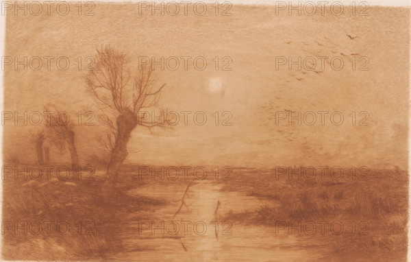 Swamp with four willows, print, annotation: '2nd State', printmaker: Jules Guiette, 1862 - 1901, paper, etching, intaglio printmaking technique, print in brown, etching printed in light brown, with plate tone, height 170 mm x width 261 mm, swamp, inland marsh, fens, trees: willow, A horizontal scene rendered in warm sepia tones shows a flat landscape with bare, knotted trees along a watery channel; foreground grasses and low marsh vegetation frame the water that reflects faint vertical sticks, and the central tree has a thick gnarled trunk with thin branching twigs reaching upward. The sky above is textured with fine horizontal strokes and features a pale circular glow near the middle, while a scattered flock of small silhouetted birds arcs across the right side of the sky. The distant horizon is low and subtle, and the overall image has a sketched, etched appearance with delicate line work throughout.