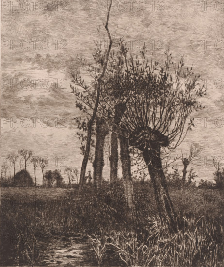 Winter landscape with willows, November, print, printmaker: Jules Guiette, 1862 - 1901, paper, pencil, etching, drypoint, intaglio printmaking technique, etching and drypoint with plate tone, proof print with title in pencil, height 317 mm x width 236 mm, landscapes in the temperate zone, trees: willow, A monochrome etching showing a landscape with tall, thin trees in the foreground, some with knotted trunks and dense clusters of slender branches and small leaves at their tops, set against a textured sky filled with horizontal, wispy cloud strokes; a narrow body of water bordered by reeds and grasses runs through the lower portion of the scene, and more distant, sparsely treed silhouettes and a rounded haylike mound appear along the horizon.