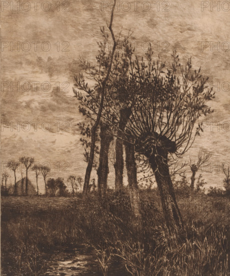 Decembre, Winter landscape with willows, print, workshop stamp: 'Antwerpsche Etsers 1880', printmaker: Jules Guiette (signed by artist), 1862 - 1901, paper, etching, drypoint, intaglio printmaking technique, height 319 mm x width 238 mm, landscapes in the temperate zone, trees: willow, A sepia-toned etching of a landscape showing several tall, slender trees with knotted trunks and dense clusters of thin branches and leaves at their tops, a few angled trunks leaning, a sky filled with layered, textured clouds, low vegetation and grasses in the foreground, a reflective water surface near the bottom, and distant thin trees and a small thatched structure on the horizon.