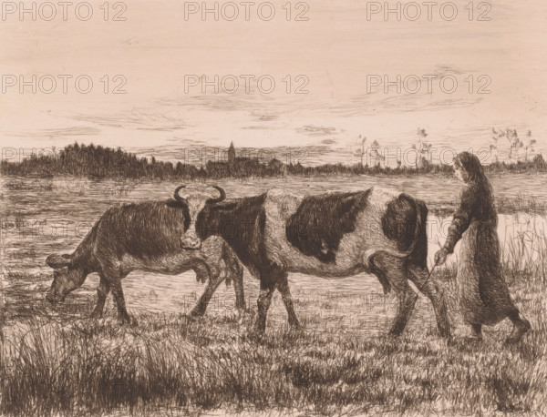 Two cows with a farmer's wife in a landscape, print, printmaker: Léopold Haeck (signed by artist), 1878 - 1910, Léopold Haeck, printmaker, paper, chine collé, etching, intaglio printmaking technique, height 187 mm x width 241 mm, farmers - AA - female farmer, farmer's wife, cow, A sepia-toned etching shows a grassy riverside landscape with two cows walking side by side and a person walking behind them holding a stick; the cows have dark patches and visible horns on one, while reeds and low vegetation fill the foreground and extend toward a distant treeline and a low skyline with scattered cloud lines.