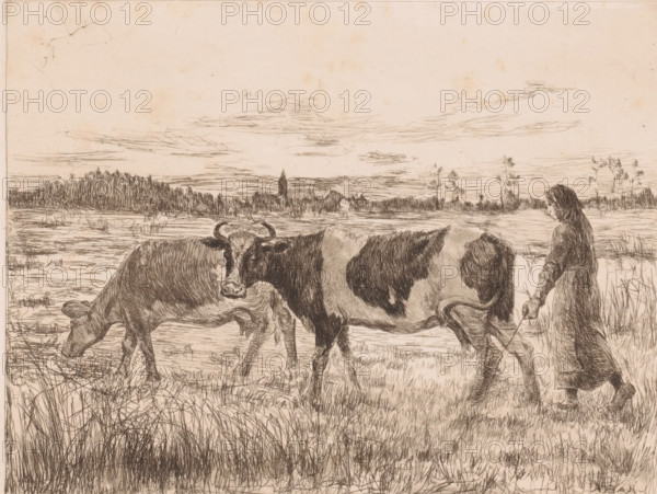 Two cows with a farmer's wife in a landscape, print, annotation: '2nd state', printmaker: Léopold Haeck (signed by artist), 1878 - 1910, Léopold Haeck, printmaker, paper, etching, intaglio printmaking technique, height 187 mm x width 241 mm, farmers - AA - female farmer, farmer's wife, cow, A sepia-toned sketch shows a pastoral scene with two cows walking through tall grass, one with visible horns and distinct dark patches and the other grazing with its head lowered, while a figure of a person in a long coat walks beside them holding a thin stick, their head slightly bowed and hair falling past their shoulders; the background features a flat marshy landscape with reeds and distant tree lines under a wide sky filled with thin, horizontal cloud strokes.