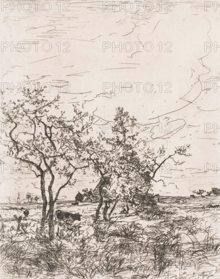 Landscape with cows and a farm, print, printmaker: Hippolyte Emmanuel Boulenger, 1847 - 1874, paper, etching, intaglio printmaking technique, height 248 mm x width 197 mm, farm or solitary house in landscape, cow, A sepia-toned line drawing of a landscape showing a foreground of grasses and low vegetation with irregular, textured strokes. Several slender, leafed trees with twisting trunks rise from the middle ground, their branches forming a lacy canopy. Beyond the trees the terrain opens to a flat plain with distant low vegetation along the horizon. The sky occupies much of the composition and is filled with long, sweeping, horizontal lines and a few larger, outlined cloud shapes. The overall image is composed of fine, sketch-like lines and hatching with varied density to indicate texture and depth.