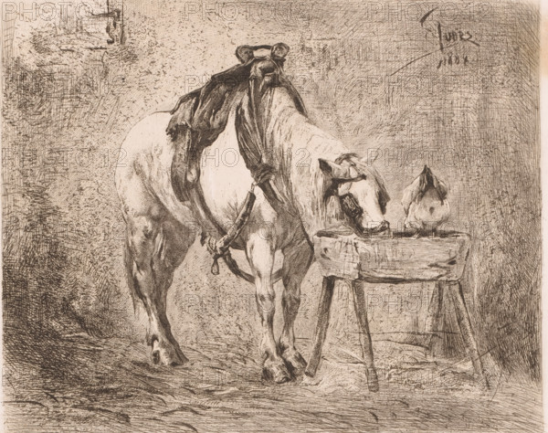 Horse and a chicken at a manger, print, annotation: 'First state', printmaker: Frans Lauwers (signed by artist), after painting by Eugène Joors, 1884, paper, etching, intaglio printmaking technique, height 239 mm x width 317 mm, horse, fowl (cock, hen, chicken, etc.), A detailed monochrome etching shows a horse standing with a saddle draped over its back and harness straps hanging down, its head lowered toward a wooden trough on a simple three-legged stand; a small bird perches on the edge of the trough while the horse appears to be drinking, with finely rendered musculature, mane, and hooves, and the background filled with dense cross-hatched textures and sketch-like marks creating a rough wall and ground surface.