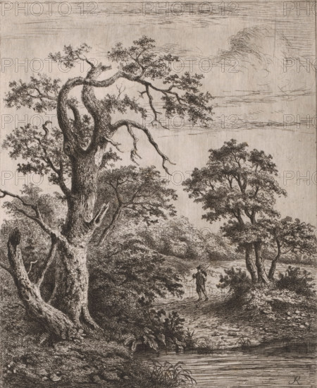 Landscape with walker near water, print, annotation: '2nd state. JL', printmaker: Jean Théodore Joseph Linnig (signed by artist), after drawing by Jacob Salomonsz. van Ruysdael, 1879, paper, etching, roulette, intaglio printmaking technique, etching and roulette with plate tone, height 251 mm x width 202 mm, landscapes in the temperate zone, A detailed monochrome drawing of a wooded landscape showing a large, gnarled tree with textured bark and twisting branches dominating the left foreground, smaller leafy trees and dense undergrowth filling the middle ground, a winding pathway or clearing leading through the trees, a solitary figure standing on the path near the center of the image, a calm body of water with rippled surface in the lower foreground edged by reeds and stones, and a sky with faint horizontal strokes and wispy cloud shapes above.
