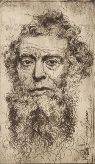Souvenir d'Aerschot, Portrait of an unknown bearded man, print, printmaker: Willem Linnig (II), 1852 - 1890, Willem Linnig (II), printmaker, paper, etching, intaglio printmaking technique, height 173 mm x width 101 mm, anonymous historical person portrayed alone, An engraved portrait of an elderly man filling the frame, rendered in fine dark lines on a light textured background; his face shows deep-set eyes with heavy lids, prominent brow lines, a long nose, and a closed mouth with slightly downturned lips, all marked by intricate hatching and stippling; a full, curly beard flows from his cheeks and chin with swirling, overlapping strokes that extend downward into loose, ribbonlike curls; his hair is curly and receding at the temples, gathered into a loose top knot with detailed linework; the background has a worn, scratched appearance and faint borders, and there are slender flowing pen strokes and small signatures or marks along the right edge of the image.
