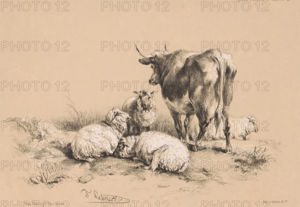 Studies of four sheep and a cow, Animal studies by Cooper, Études d'Animaux de Cooper, print, printmaker: Pierre Frédéric Lehnert, printer (person): Aubert & Cie., Paris, publisher: Aubert & Cie., 1838 - 1840, Pierre Frédéric Lehnert, Aubert & Cie., printmaker, printer (person), publisher, paper, tone lithography, height 278 mm x width 358 mm, sheep, cow, A charcoal-style drawing on a warm beige background showing a large cow standing with its back partially turned and a group of woolly sheep lying and sitting on the ground around it, rendered with textured shading and soft highlights, with grass tufts and ground details beneath the animals.